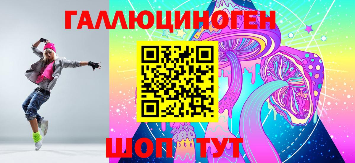 Галлюциногенные грибы Psilocybe Оренбург
