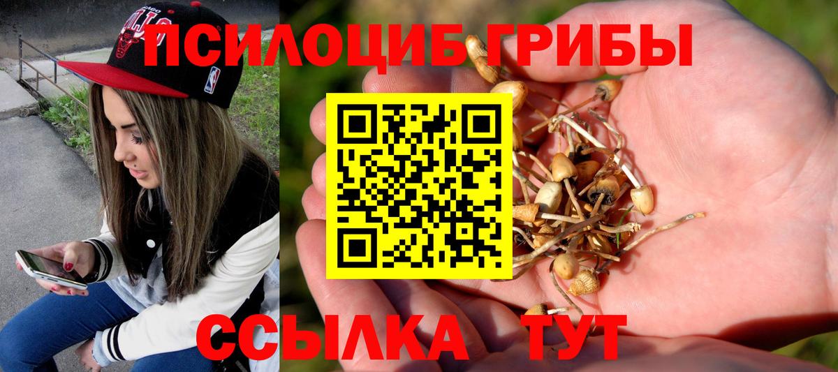 Псилоцибиновые грибы Psilocybine cubensis  Вход с VPN  Оренбург 